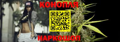 шишки Конаково