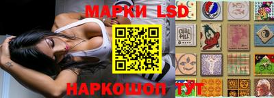 мдпв Кимры
