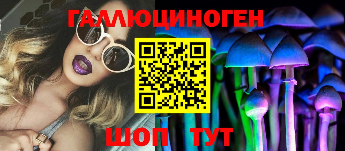 Кировск  Псилоцибиновые грибы Cubensis  Вход с VPN 