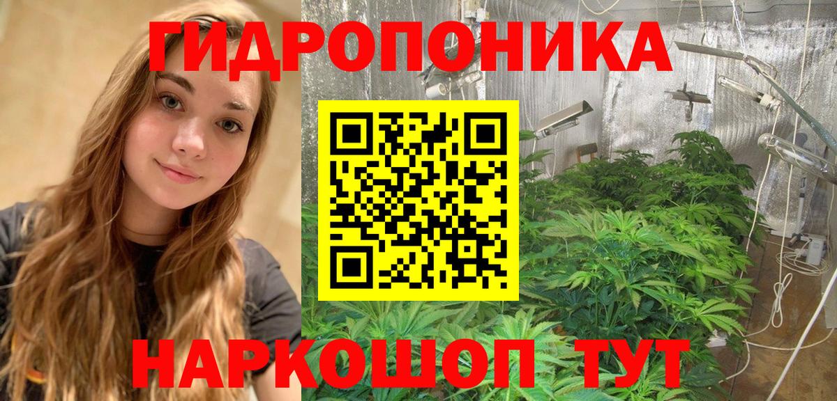 Марихуана сатива Кировск